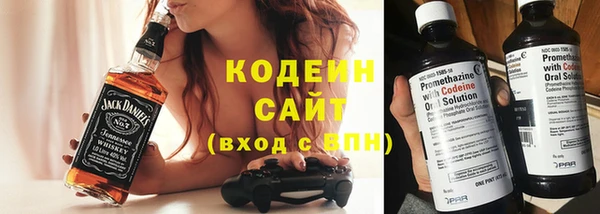 крисы Вязьма