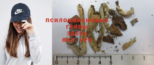 крисы Вязьма