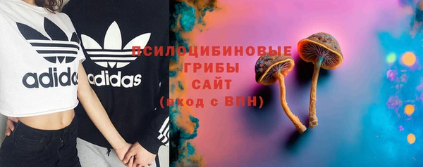 прущая мука Вязники