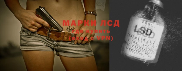 крисы Вязьма