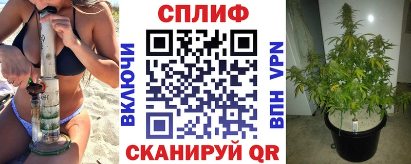 гидра сайт  Шуя  Канабис THC 21% 